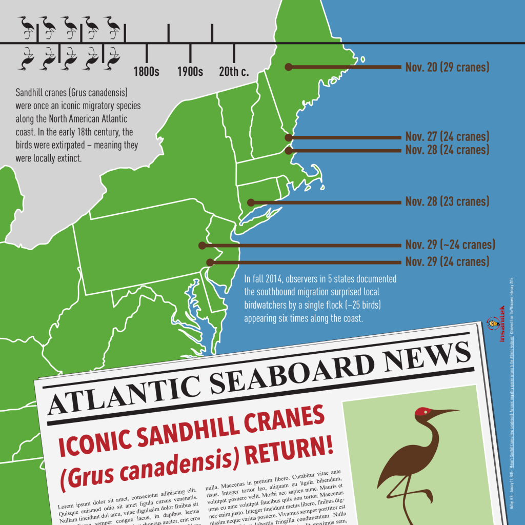 SandhillCranes-MiniInfo V2 FINAL