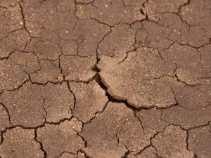 drought, arid, weather