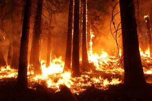 fire, california, drought