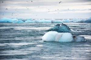 iceberg, icebergs, ocean