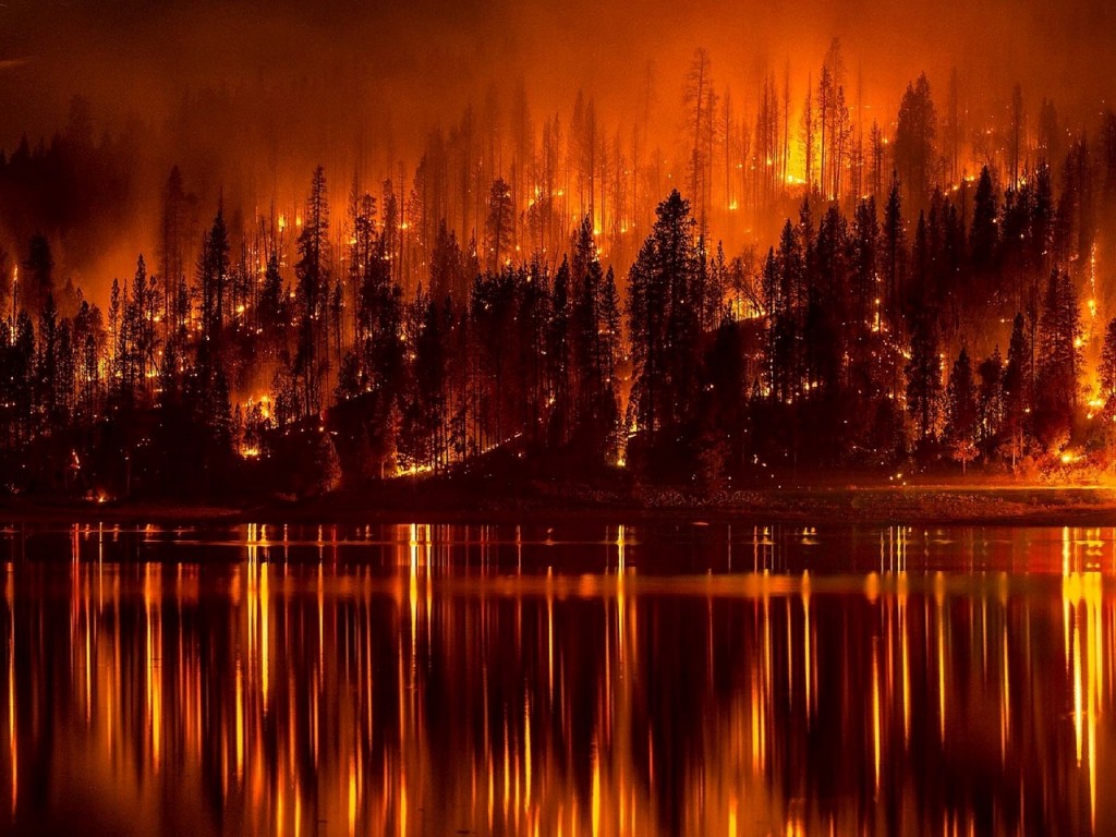 fire, wildfire, california, drought