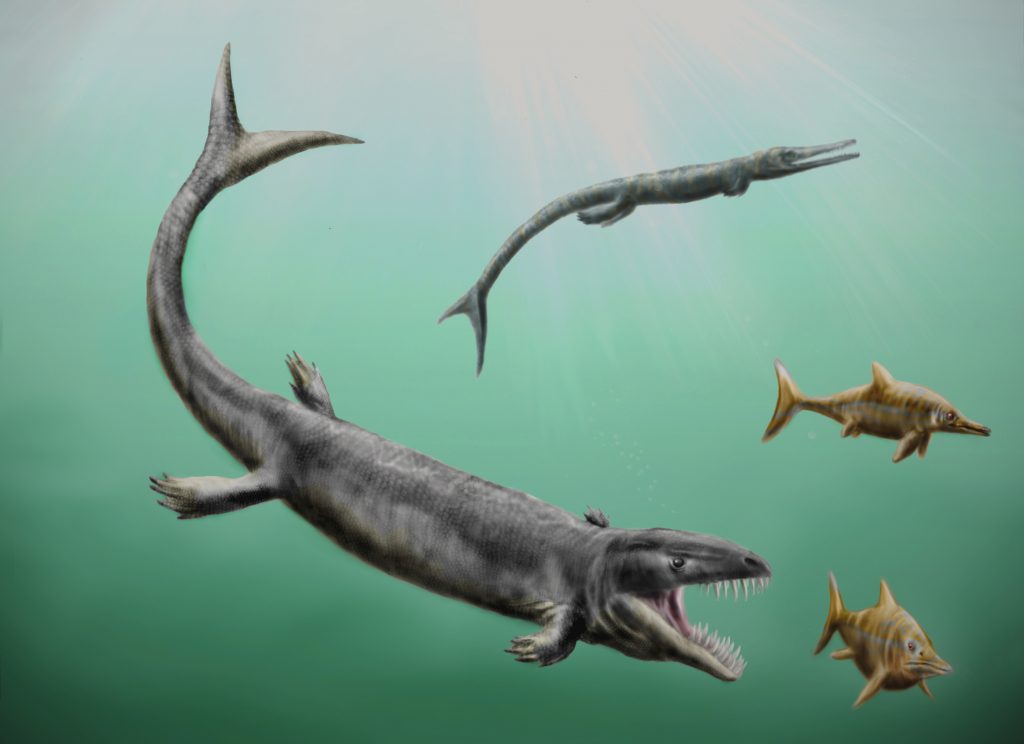 Ichthyosaurs, Ichthyosaur, dinosaur, history, fossil