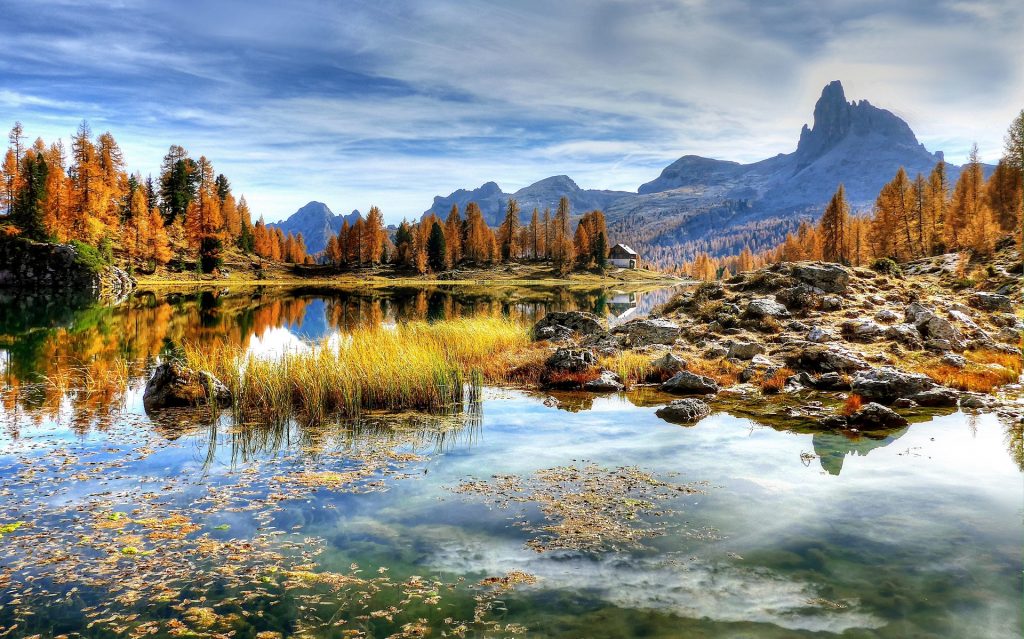 lake, water, environment