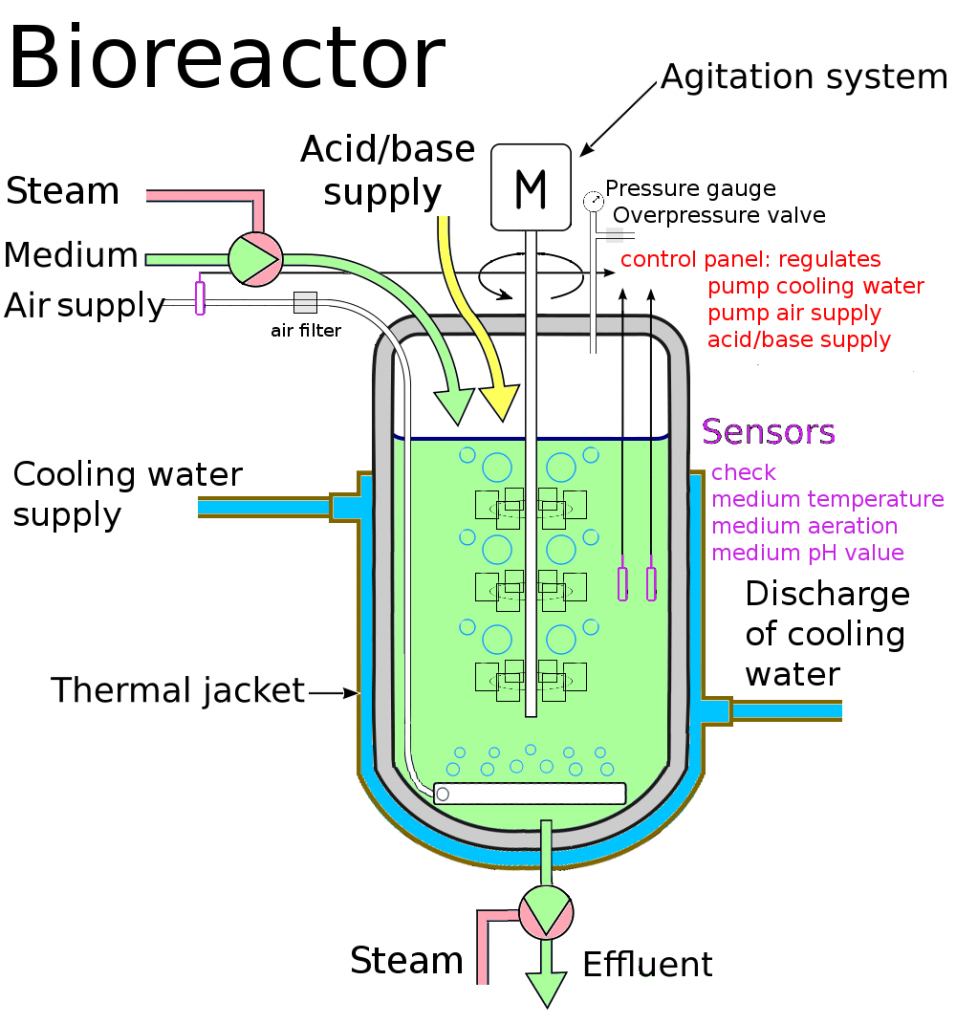 a bio reactor is