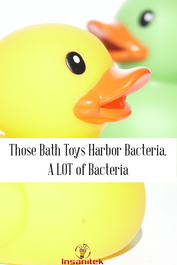 rubber duckie, rubber ducky, bacteria on bath toys, bacteria in bath