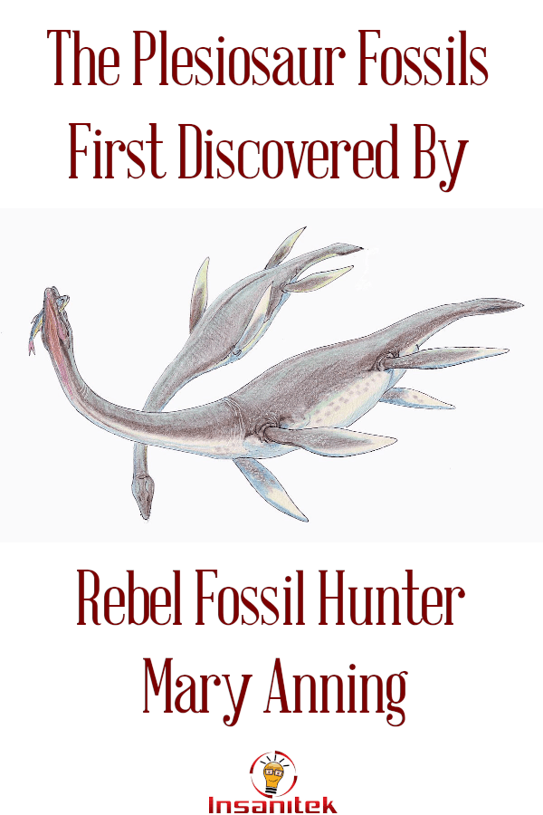 fossil hunter, women in science, foundational researchers, basic science, evolution, dinosaurs