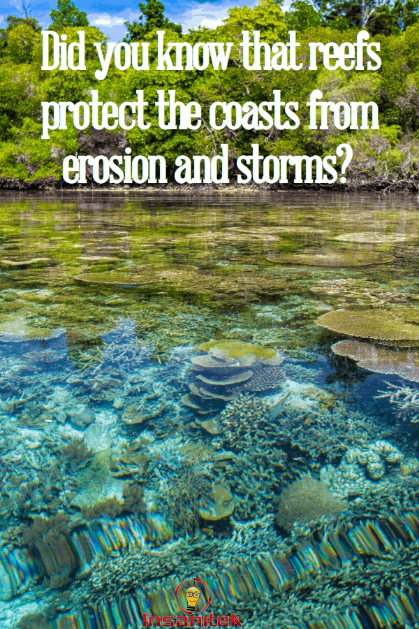 coral reefs, erosion, nature's solutions, environments, coasts