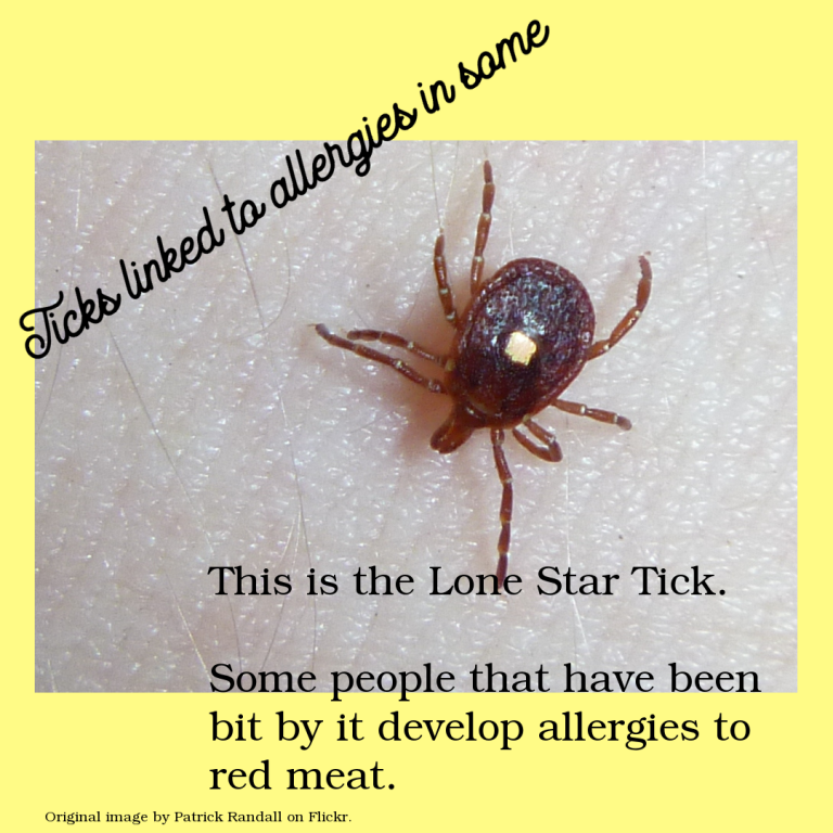 As Ticks Thrive, Red Meat Allergy Prominence Continues to