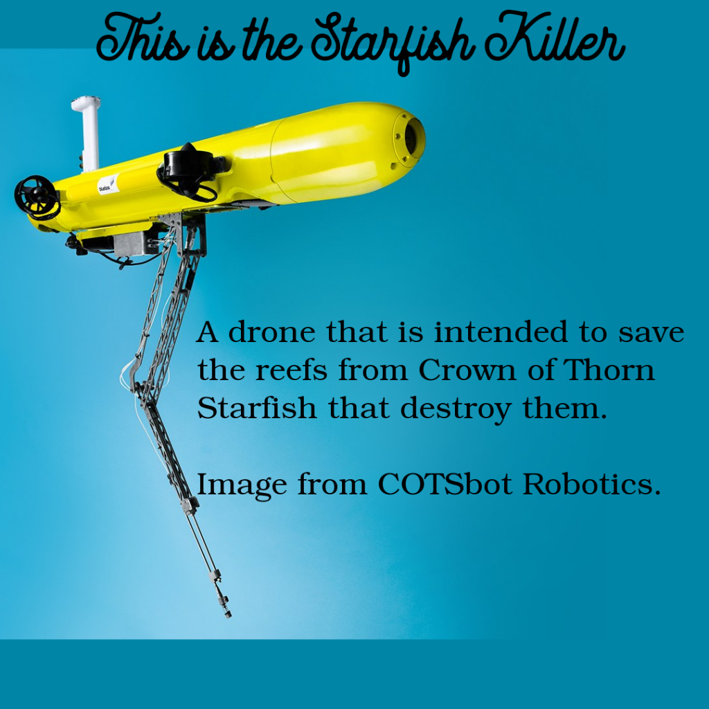 Meet RangerBot, Out to Save the Great Barrier Reef from Starfish ...