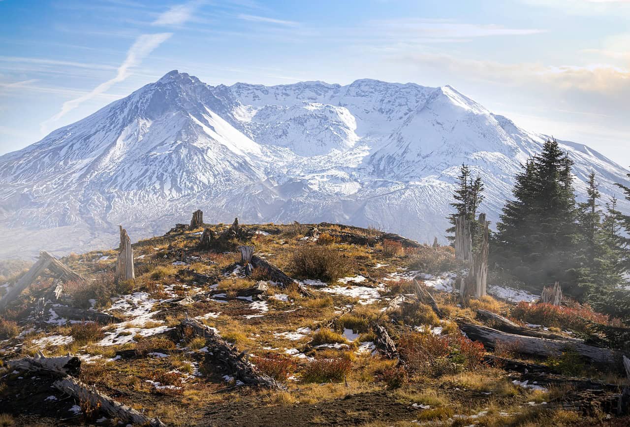 Mt Saint Helen's after explosion, destruction of trees