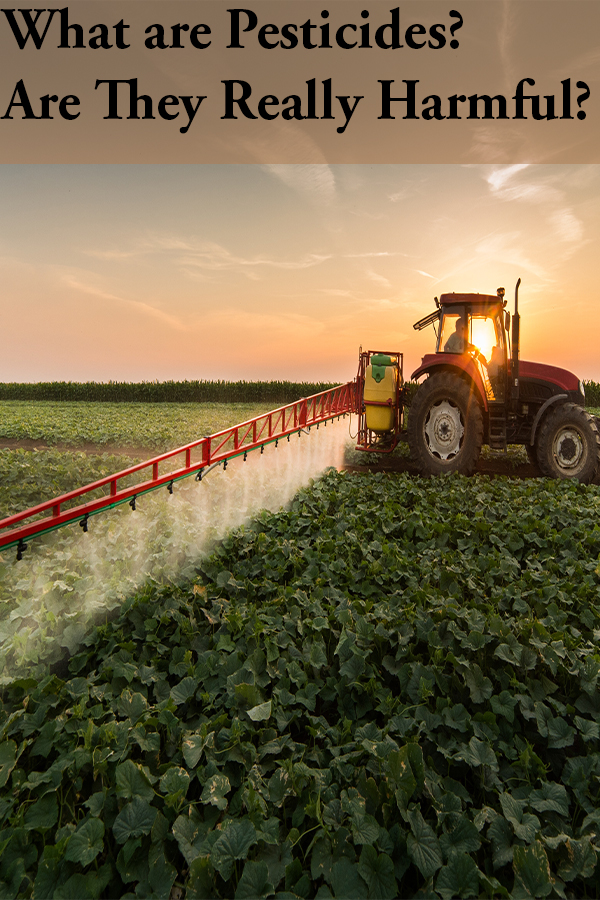 Are pesticides harmful?