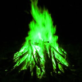 copper sulphate soaked logs