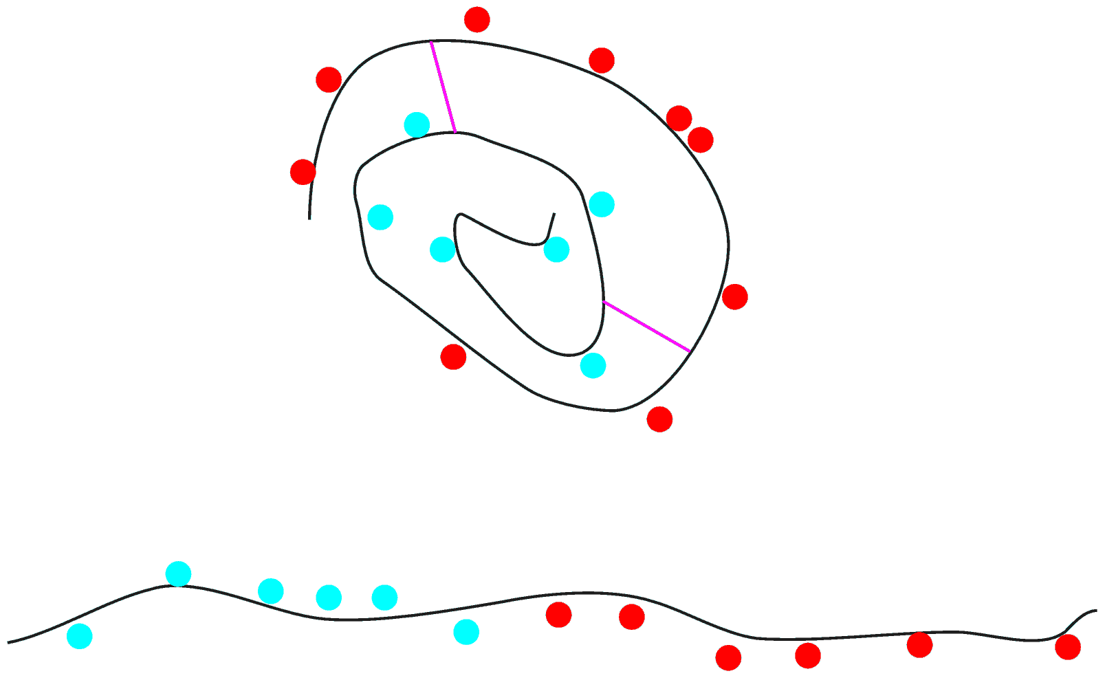 blood molecule, albumin, blood protein