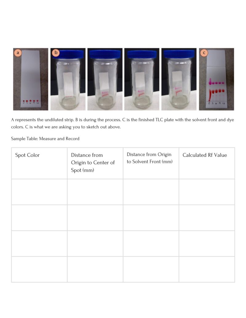 Thin-Layer Chromatography Lesson Plan - Image 9