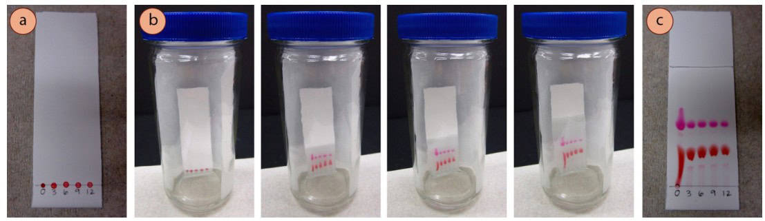 Thin-Layer Chromatography steps