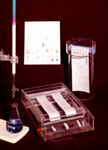 Chromatography is a technique for separating and analysing a mixture of gases, liquids or dissolved substances. This is achieved by using two immiscible substances, one of which (the mobile phase) transports the sample mixture through the other (the stationary phase). The apparatus for paper chromatography is shown. A piece of filter paper is the stationary phase and a chosen solvent the mobile phase. Tiny spots of the sample are applied to the paper, which is then developed. The different coloured components of the mixture separate as the solvent rises.