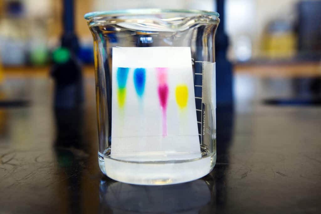 chromatography image by Geoffrey Whiteway