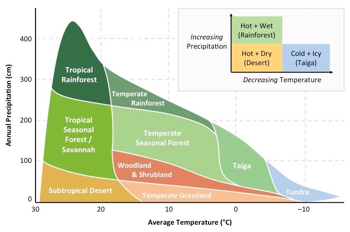 Feature image for a science education post showing a peaceful landscape of pine trees and low, fog‑covered mountains at sunrise, overlaid with the headline “Mistake-free climate starts with patterns, not single storms” and supporting text inviting teachers to help students see how temperature and precipitation shape biomes and clarify the difference between climate and weather. This image introduces a classroom‑focused lesson on using biomes and climate graphs to explain climate vs. weather.