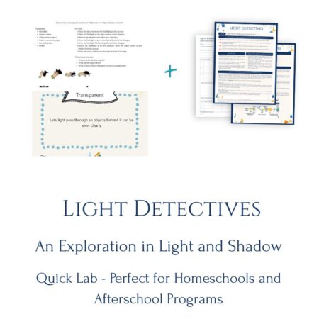 Light Detectives | Workshop Lab