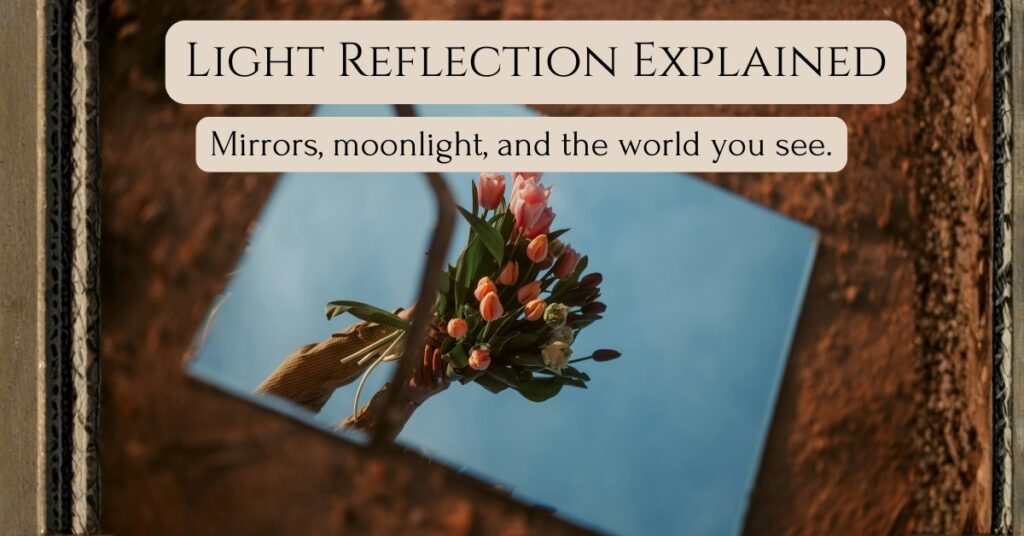 Mirror reflecting a hand holding tulips against a blue sky, with text: “Light Reflection Explained—Mirrors, moonlight, and the world you see.”